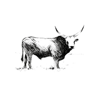 Szurkemarha friss rostelyos - surowy antrykot z szarego bydła 1kg 