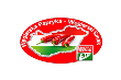 Logo tekstowe - strona główna